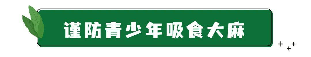 神奇的葡萄味冰淇淋,味道很不错的奇怪冰淇淋