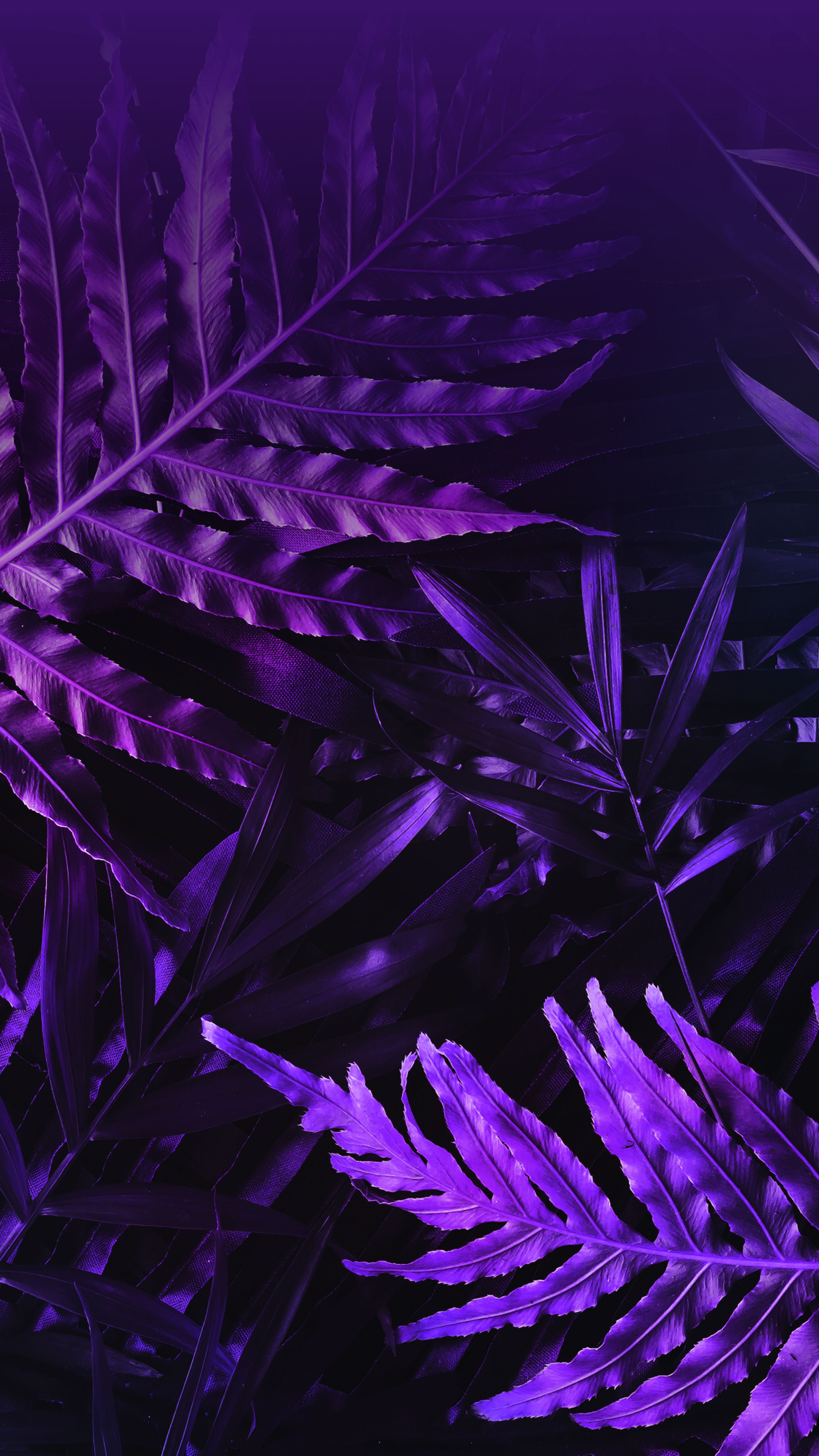 手机壁纸每一张与每一张不一样,手机壁纸各种风格