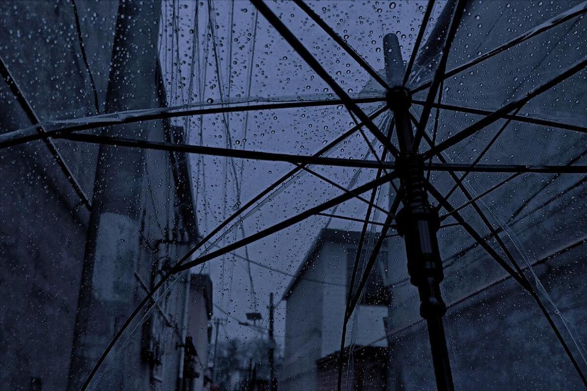 摆烂的人为什么业绩很好,摆烂的人成绩好自己努力却比不上