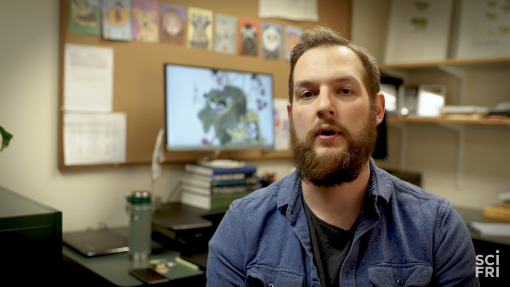 全员雌性，靠偷别人的精子繁衍后代…这种动物让科学家都迷惑了