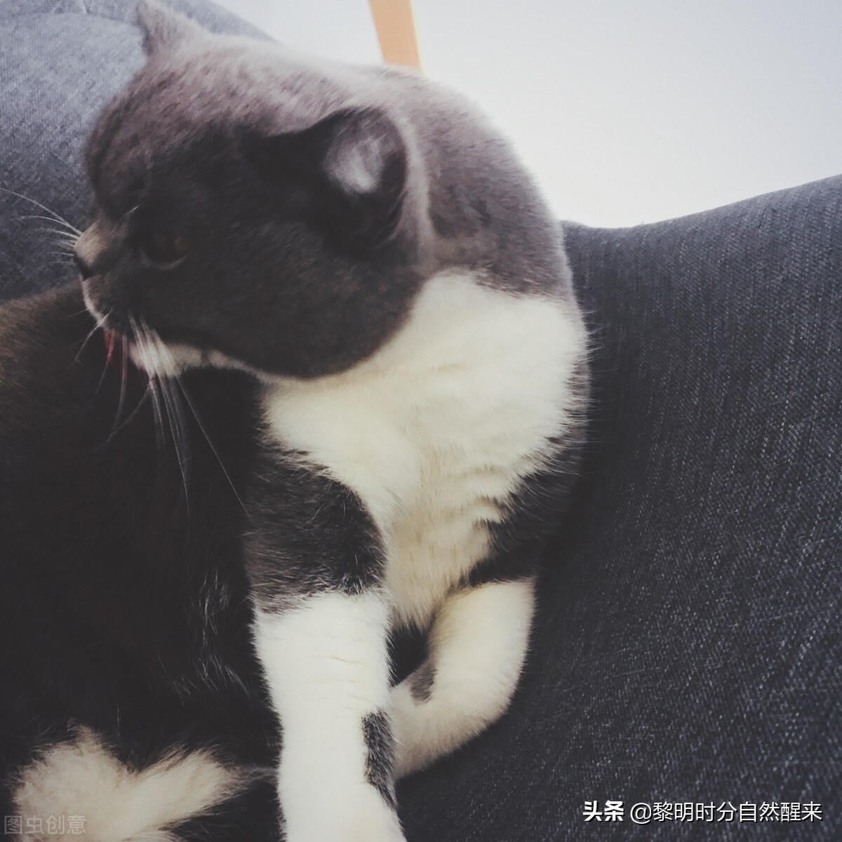 喜怒三字经,喜怒三字经全文