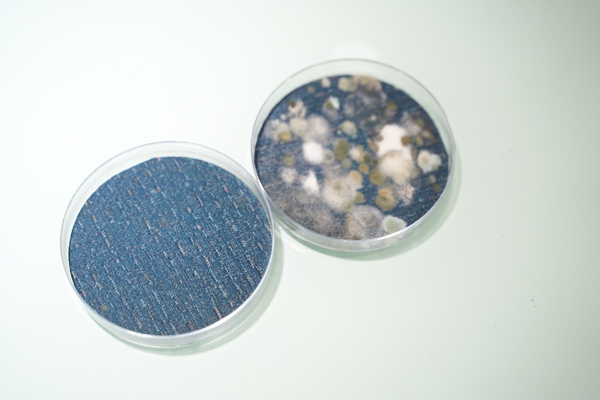 选窗帘防甲醛,选窗帘防尘螨