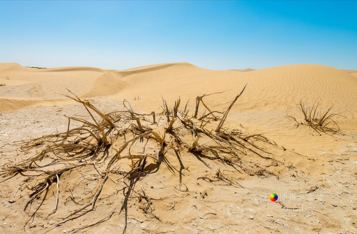 女司机带娃去新疆自驾游,带着女司机自驾游兰州