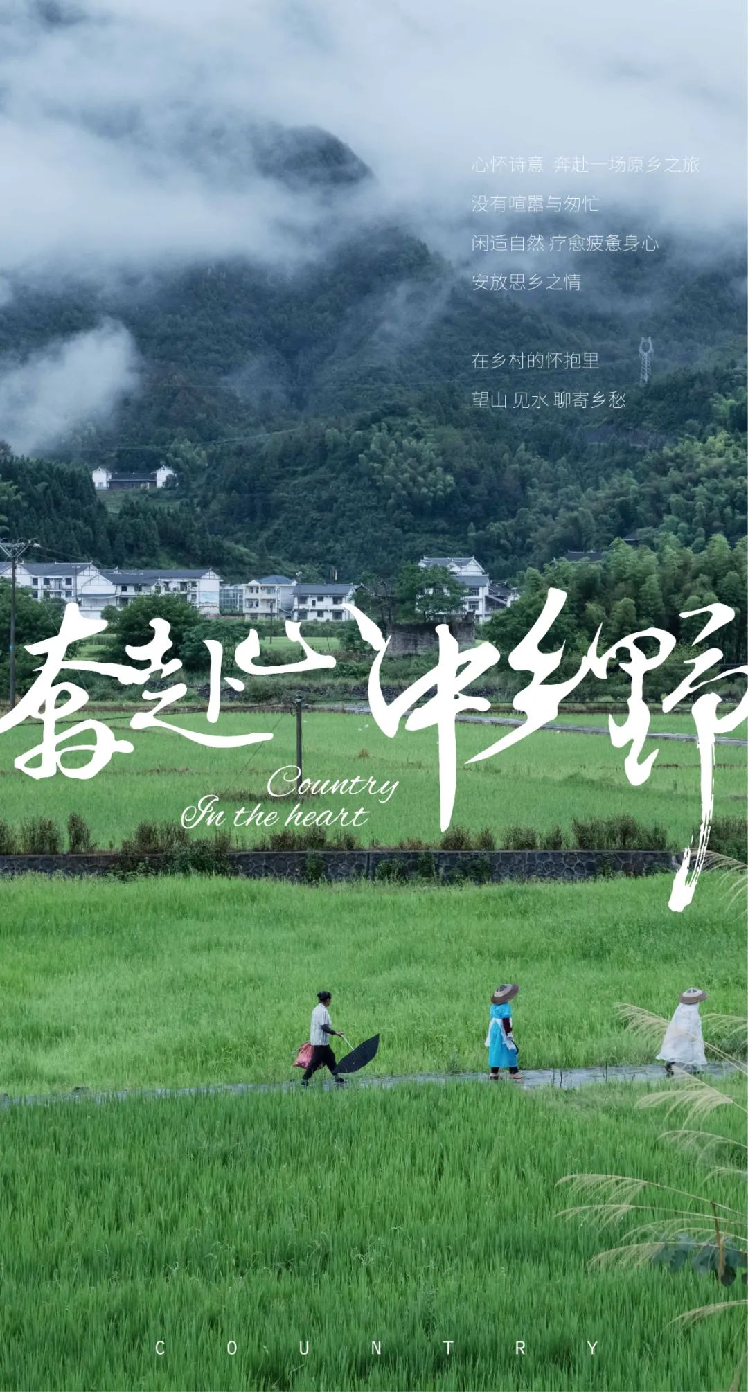 贵州省5起乡村振兴典型案例通报,乡村振兴中可以做哪些景观设计