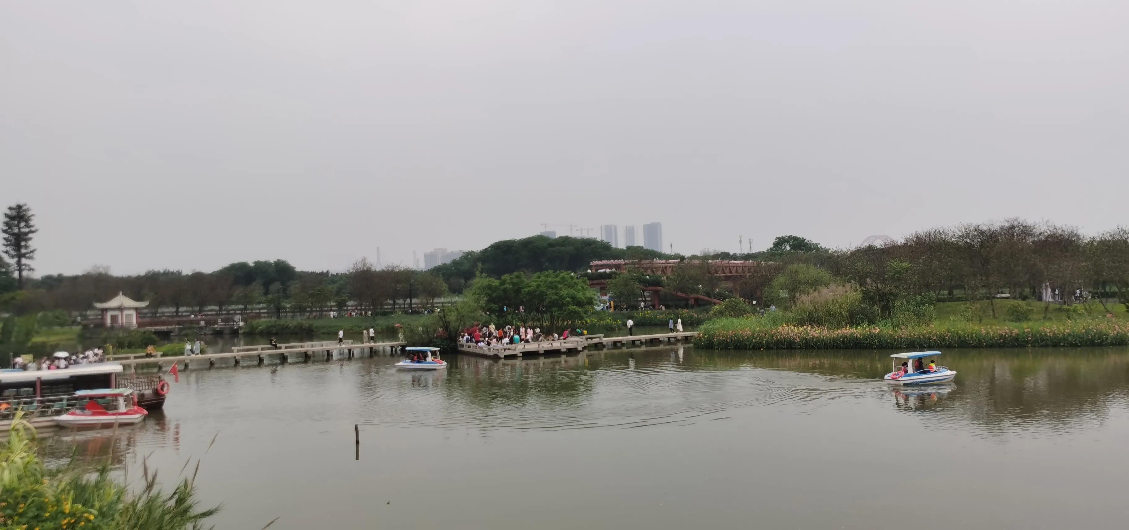 海珠湖湿地公园观鸟,海珠湖湿地公园地图