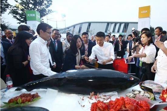 马云最近真的要搞农业吗,马云去日本考察农业