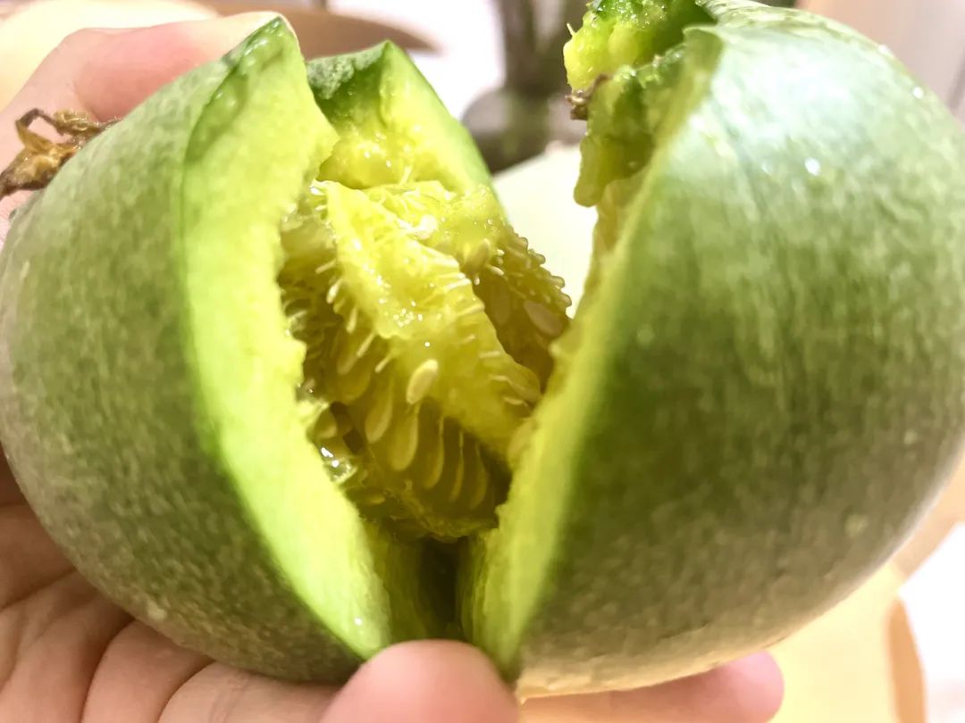 武汉美女：夏天要吃这些好瓜，藤蔓上的水果冰淇淋