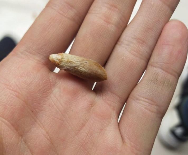 迪拜文玩,迪拜的文玩