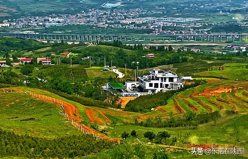 蓝田荞麦花海和高山草甸,西安荞麦花海旅游