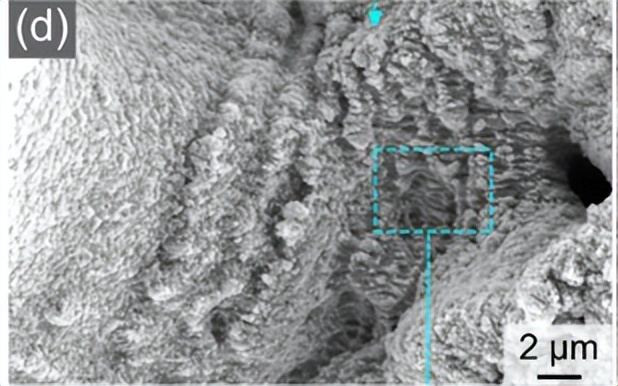 飞秒激光器激光强度改小可以吗,飞秒脉冲激光实现多光子吸收