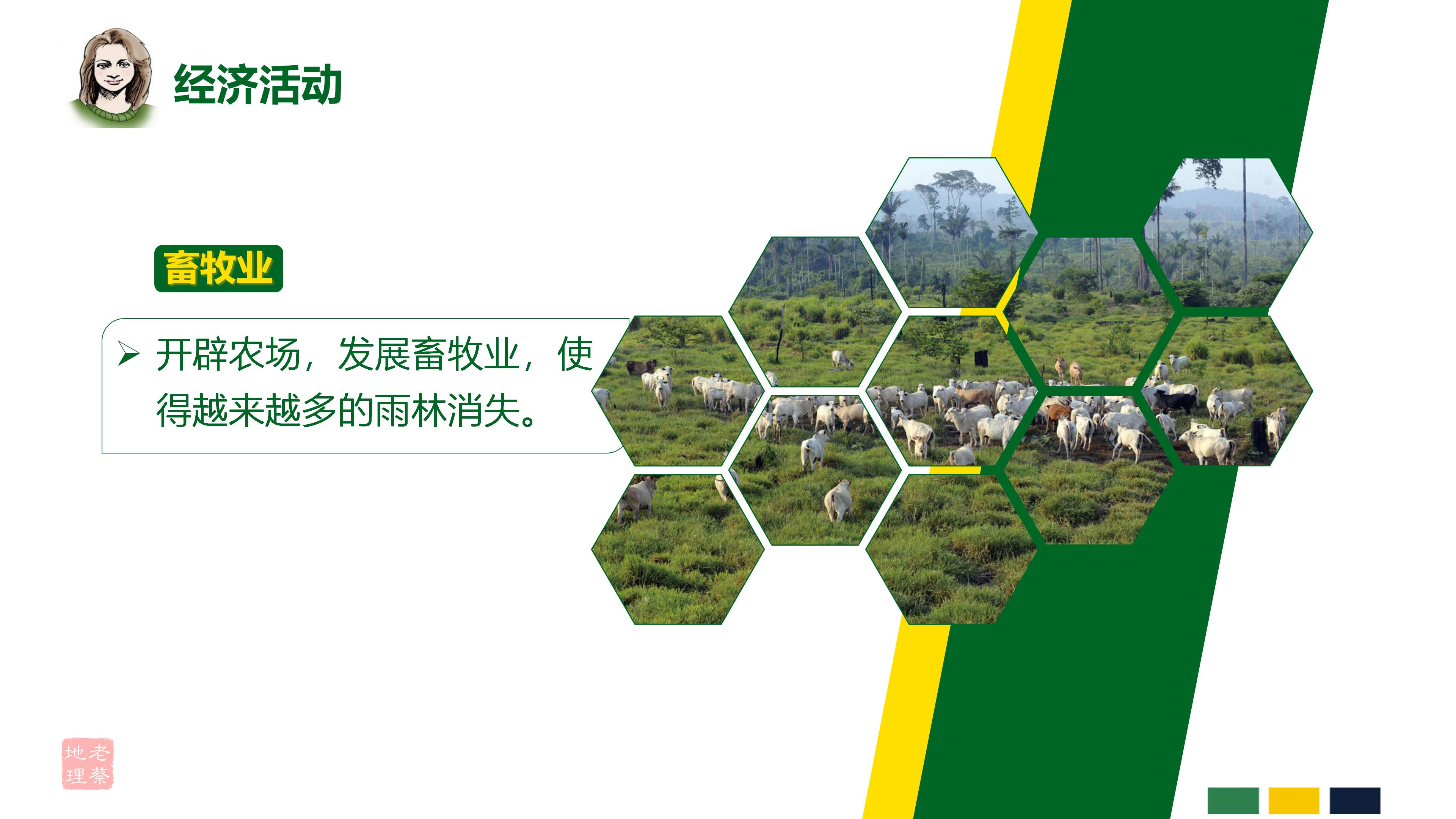 七年级下册地理第九章第二节巴西,七年级下册地理巴西2