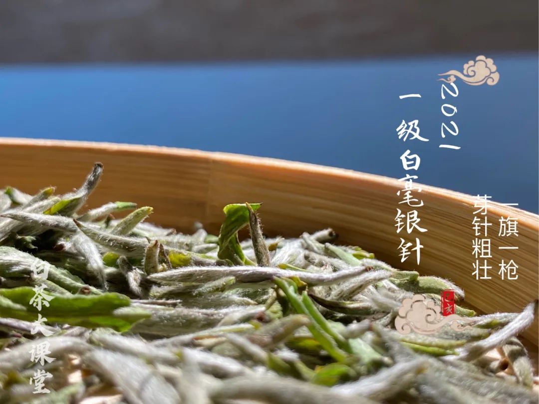 白茶是一种绿茶么,白茶是白的吗