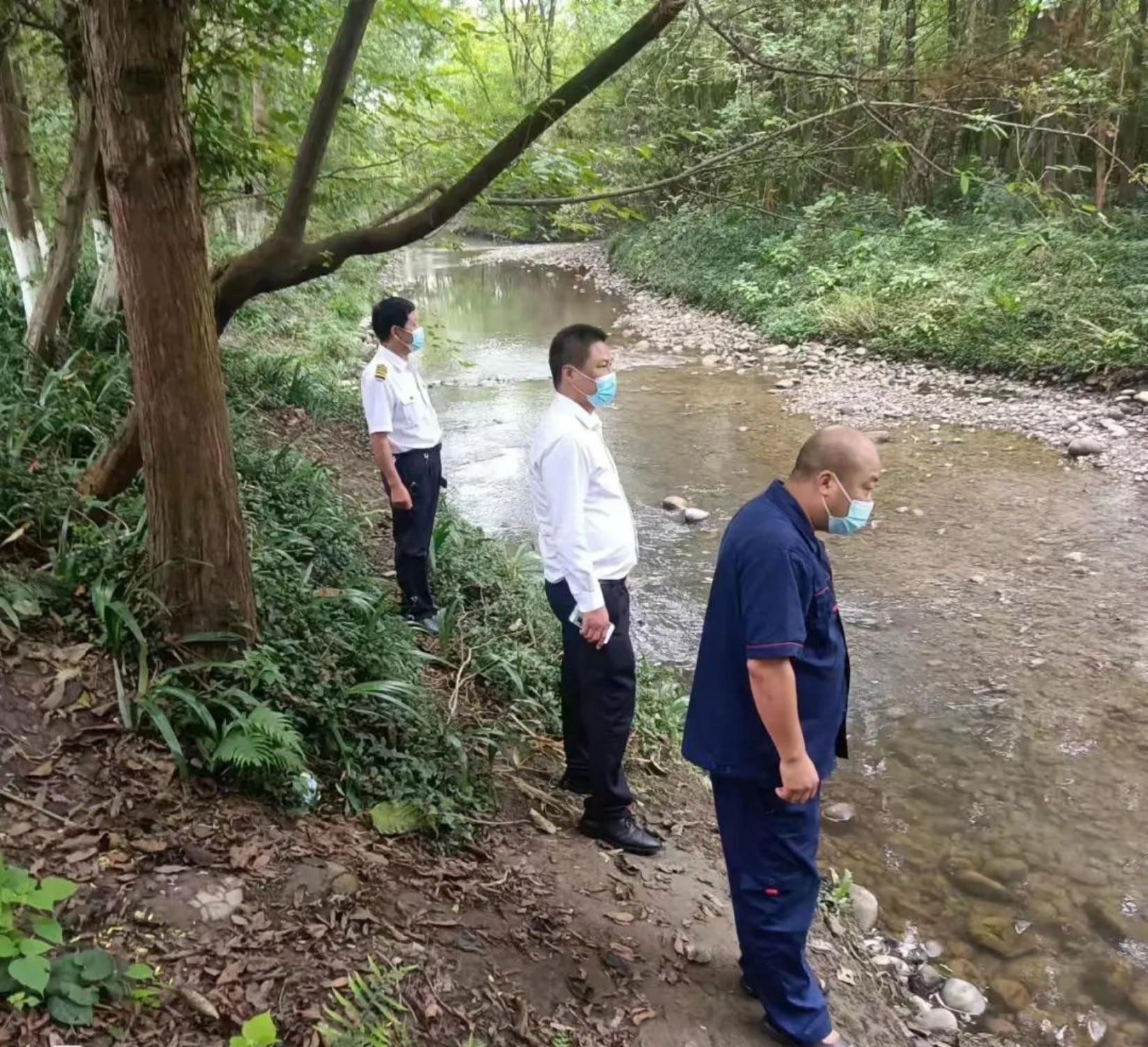 以“志愿红”守护“健康绿”成都市保护地和野保中心奋战“疫”线