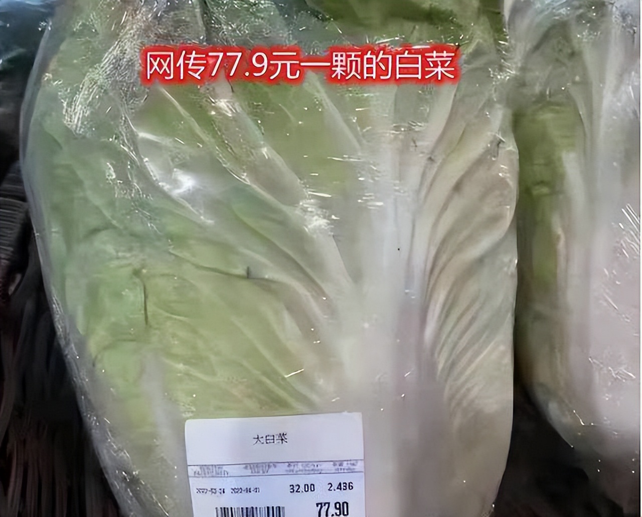 豆芽发苗神器,家用豆芽机发豆芽菜的简单方法