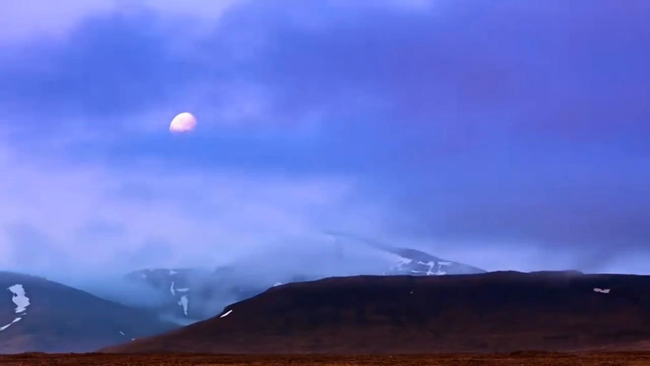 接福接财接好运头像男,生肖蛇接福接财接好运