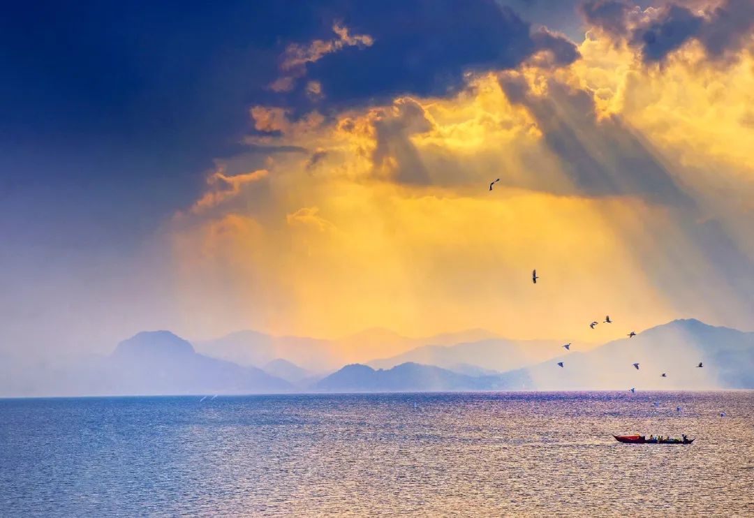 云南西双版纳跨省游最新通知,云南跨省游最新通知