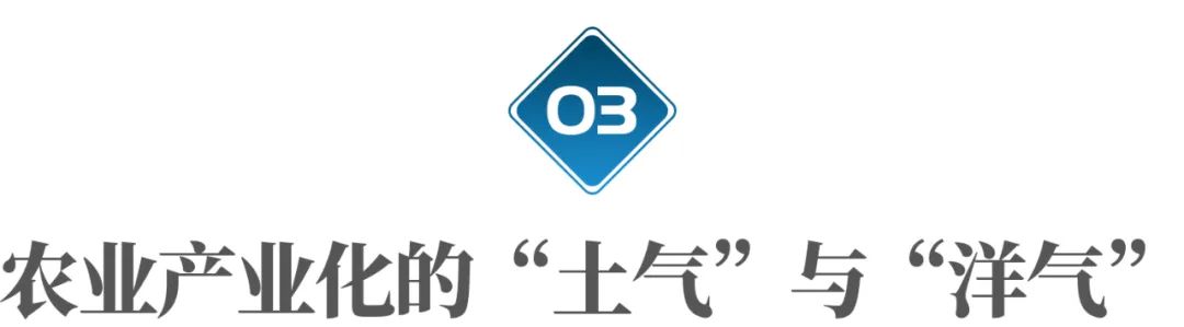 藏在农村的暴利小生意知乎,藏在农村的赚钱生意