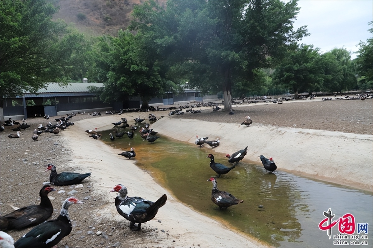 缁跨編浜戝崡鏄嗘槑,缁跨編鏄嗘槑缁樼敾