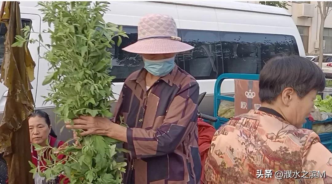 早市买包子,早市买股