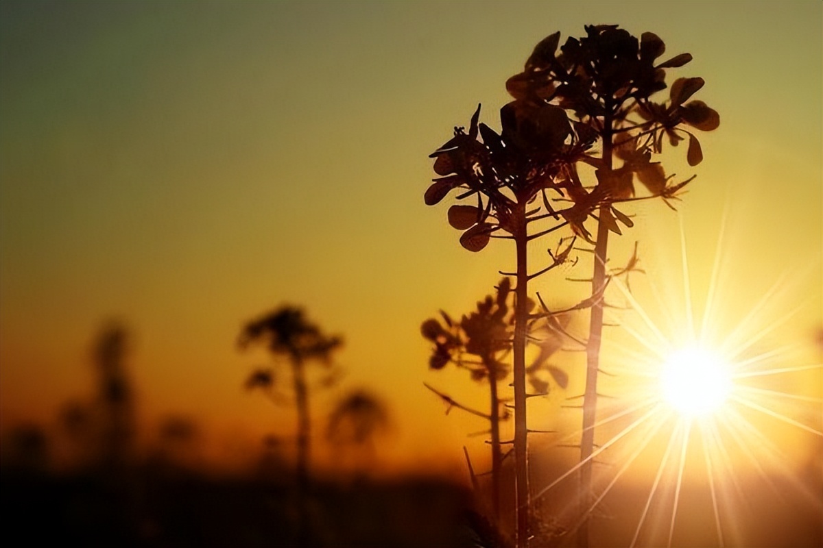 退休以后不该与这三种人来往,为什么退休之后不能经常去串门