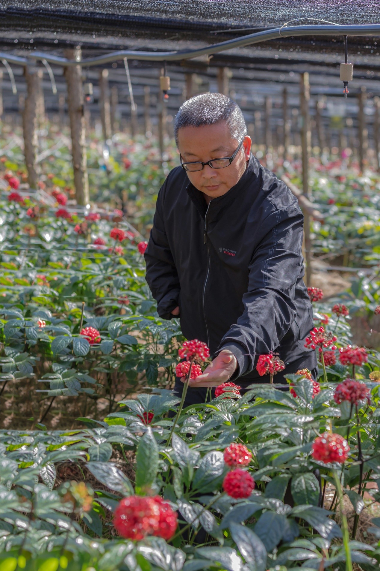 木棉花开映山红一一记云南省文山州肢残人协会主席、会长向文