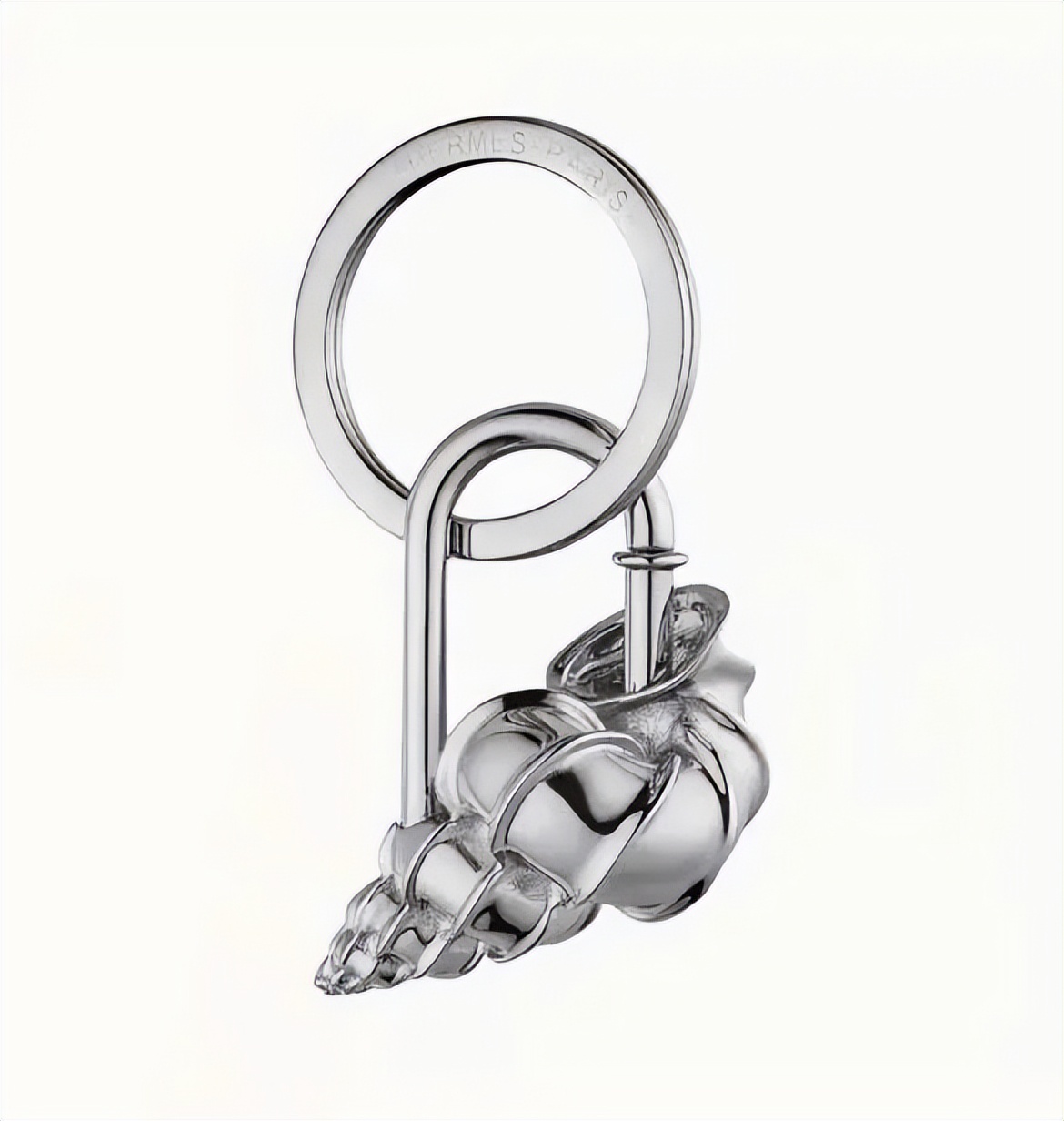 海南海鲜贝类有哪些,海南海鲜贝类