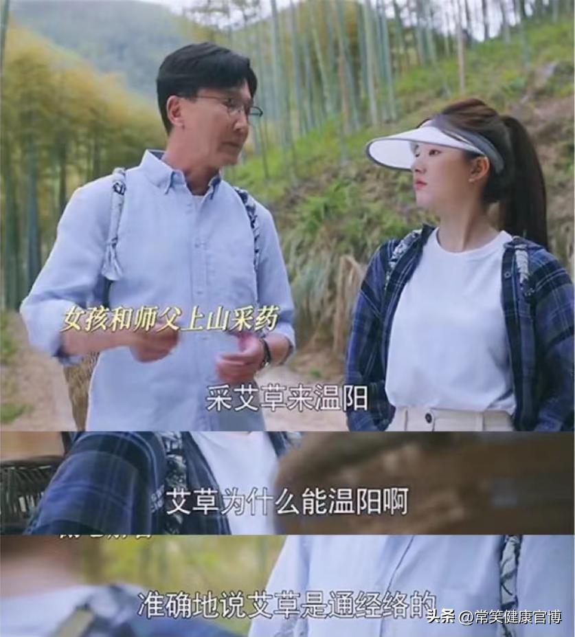 看了《后浪》才知道，端午节必备的艾草，原来一个夏天都这么有用