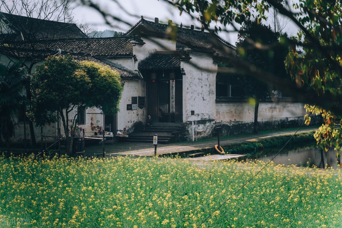 一座被低估的江南小城,浙江被低估的城市