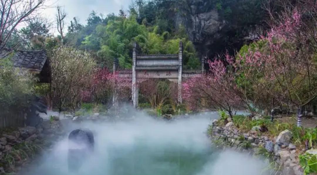 桃花源里有多美，现实中就有多惨