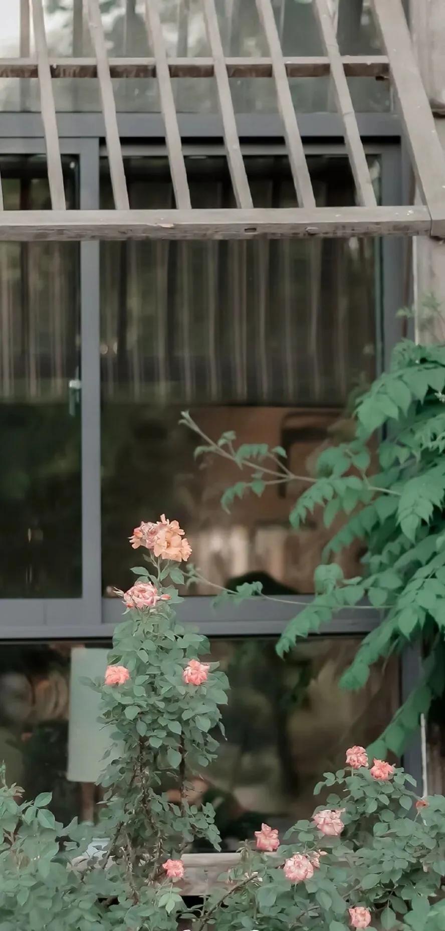 好看的手机壁纸图片,好看的风景图片壁纸