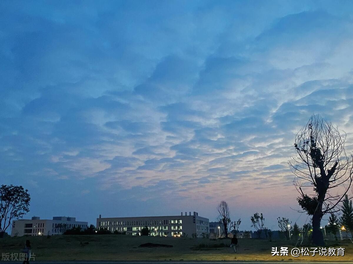 山东各地方学院,山东七所学院哪个好