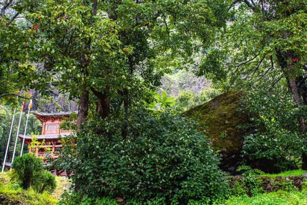 大理鸡足山禅宗发源地,大理鸡足山未解之谜