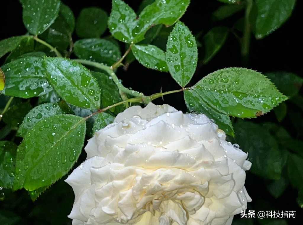 苹果13和12promax深度对比,苹果12和苹果13promax日常使用