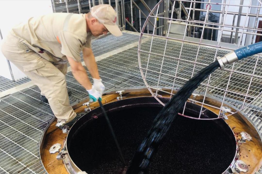 蛇龙珠烟台张裕卡斯特酒庄,张裕卡斯特酒庄蛇龙珠干红葡萄酒