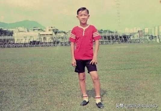 曾志伟为啥是港圈掌门人,曾志伟履历