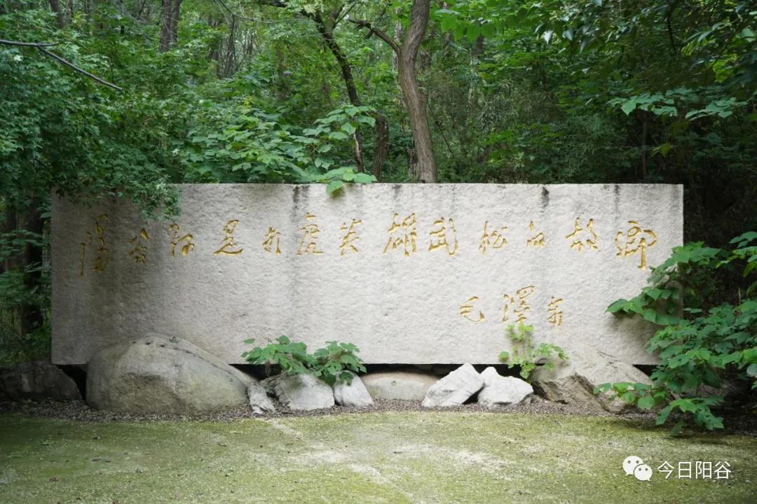 「纪念毛主席诞辰128周年」毛*东泽**主席五次谈阳谷