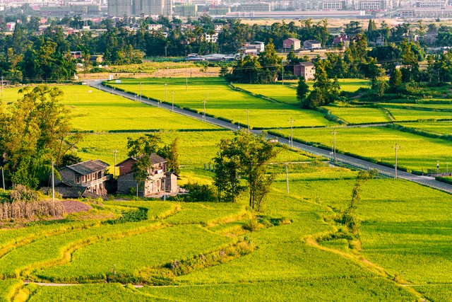 附近农村生活,附近农村体验生活