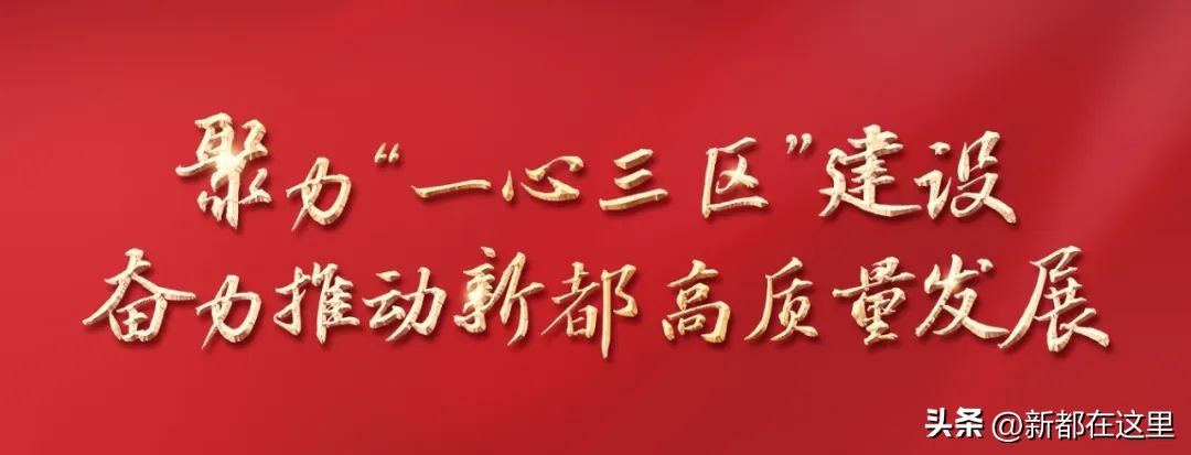 建设医疗高地,打造医疗高地实施方案