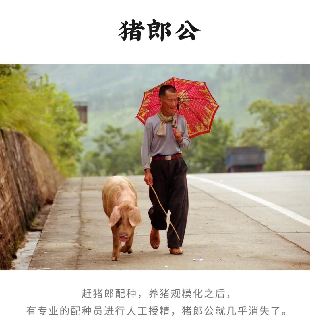 现在有哪些行业脱离了年轻人,中国正在消亡的10个老行当