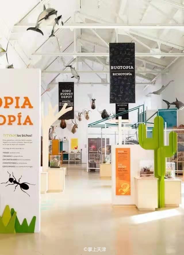 天津国庆遛娃绝佳去处盘点,秋季哪些免费遛娃的地方天津