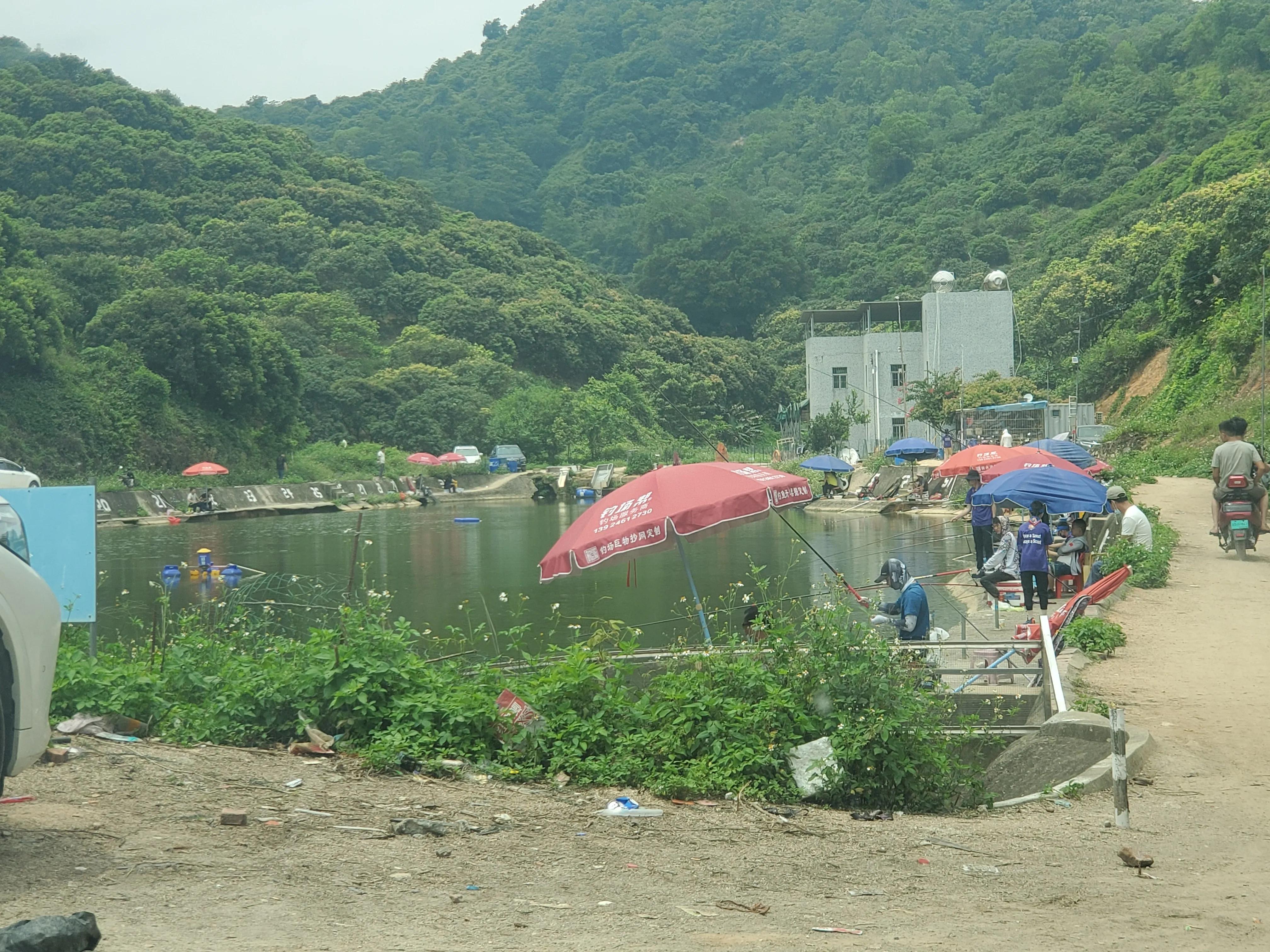 深圳踩坑亲子游之“女博士生态庄园”