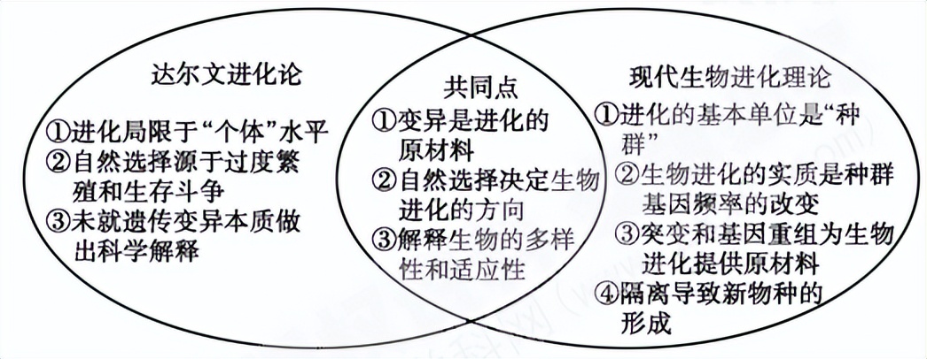 高中生物变异和育种知识点,高中生物变异育种进化思维导图