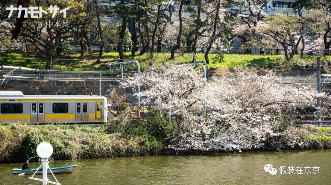 365张照片回顾,365张相片