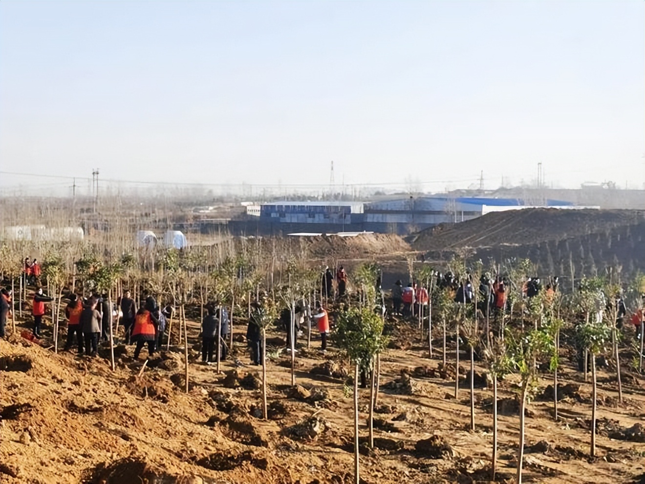 东北巨骗*相贵陈**：与赵本山合作，花182万买手机号，最终锒铛入狱