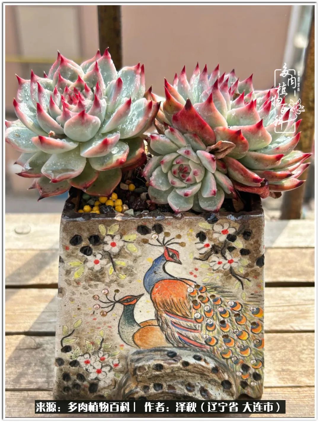 四季轮回之秋天,四季轮回之冬季