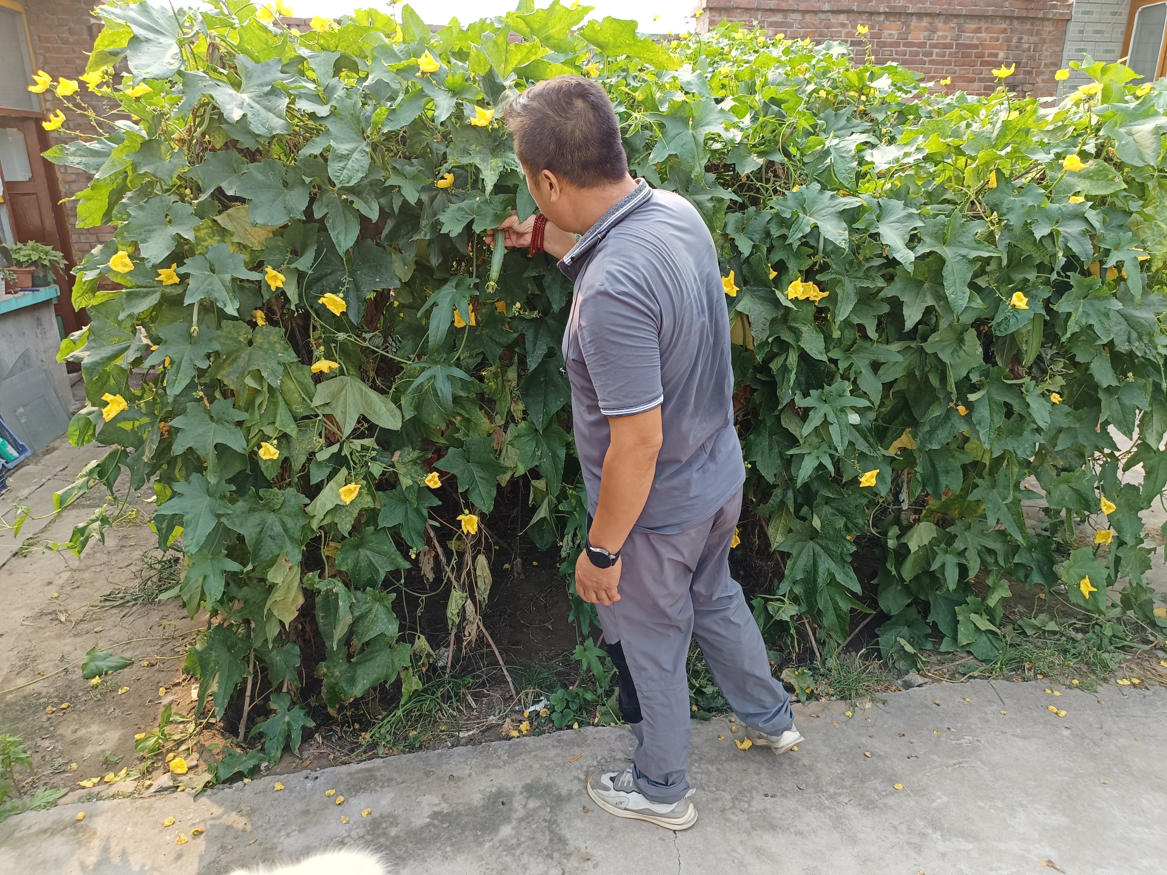 46岁前总经理找工作:差点被骗买房、误入传销,黄了5份工作,“只想找份工作,没想这么不靠谱”