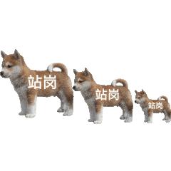 迪奥抄袭马面裙是中国文化输出吗,dior马面裙央媒