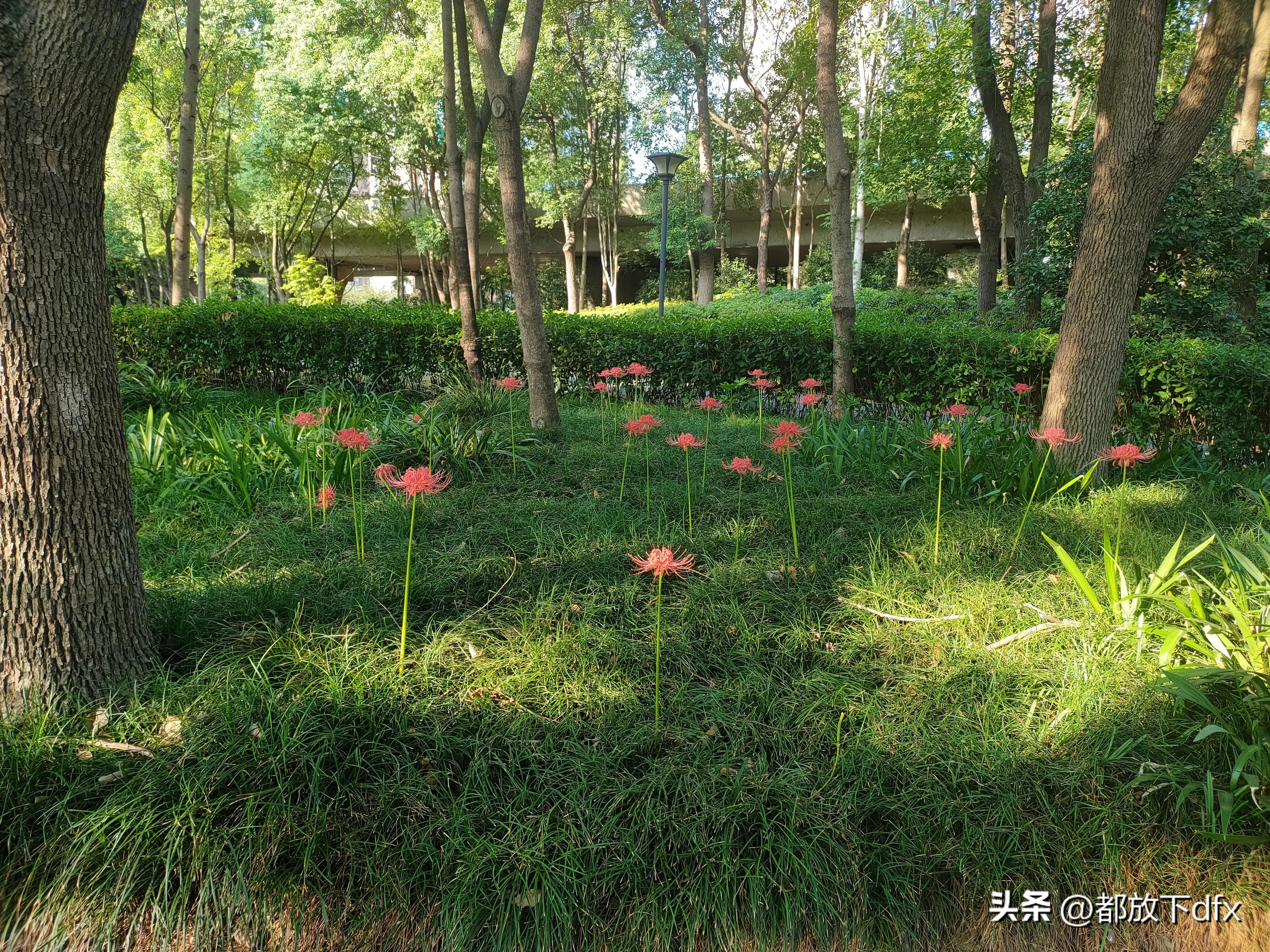 分道扬镳,各走各的路,也挺好的