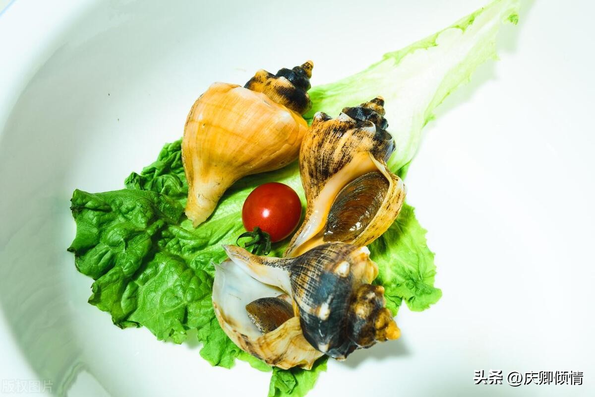 长春到山东旅游的最佳路线,广州到山东自驾旅游最佳路线