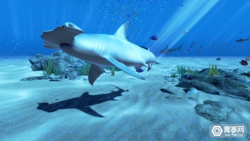 今日头条vr最新进展,vrar最新消息